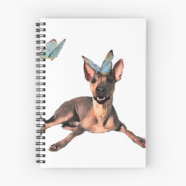 Artikelvorschau, Haarloser Terrier und Schmetterlinge entworfen und verkauft von ProtanDesign.