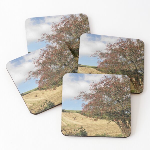 Item preview, SUMMER MEMORY designed and sold by mikequigley.