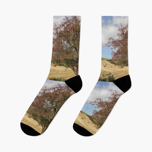 Item preview, SUMMER MEMORY designed and sold by mikequigley.