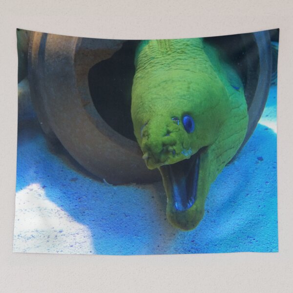 Item preview, Joking Eel designed and sold by AestheticNerd15.