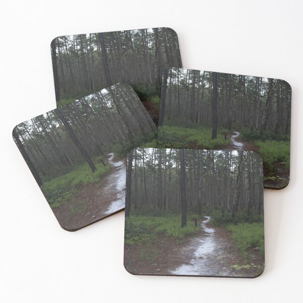 Item preview, Pine Barrens Dark Winding Path designed and sold by pinebarrens.