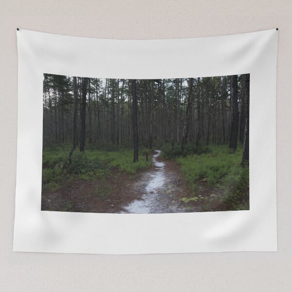 Item preview, Pine Barrens Dark Winding Path designed and sold by pinebarrens.