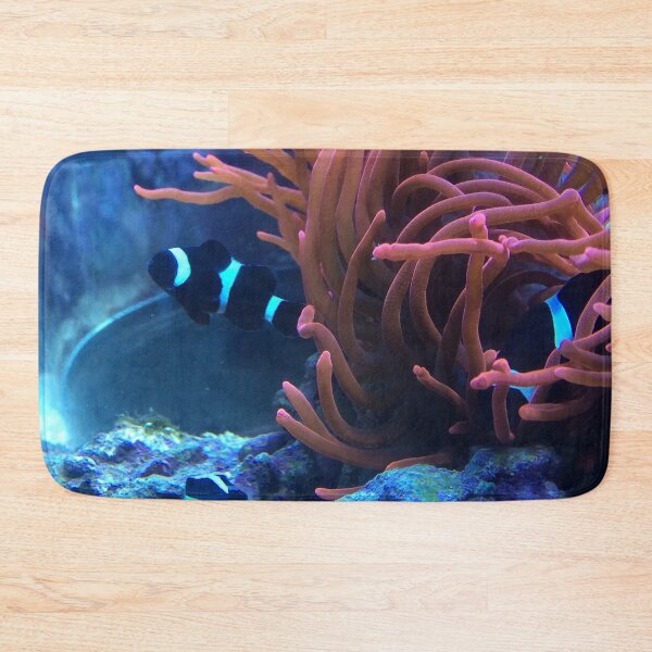 Item preview, Black Clownfish designed and sold by AestheticNerd15.