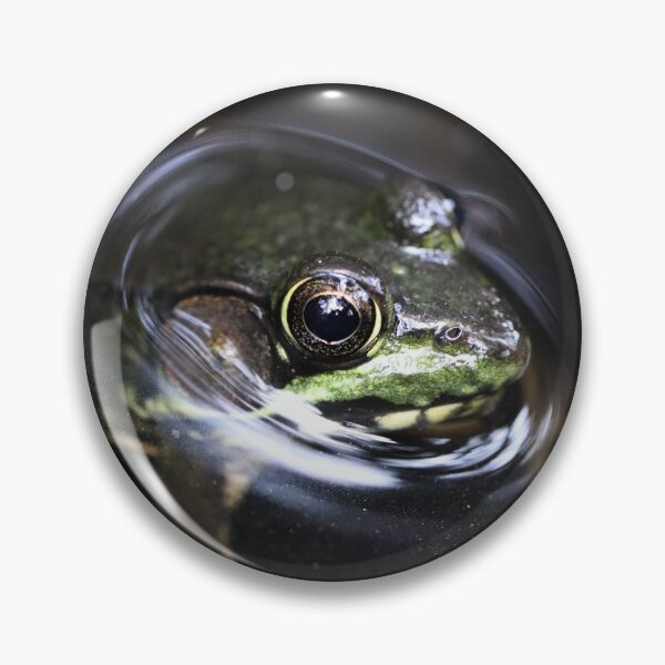 Item preview, Frog Eye Detail designed and sold by pinebarrens.