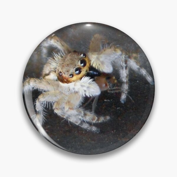 Item preview, ©NS A Spider Life XCI. designed and sold by OmarHernandez.