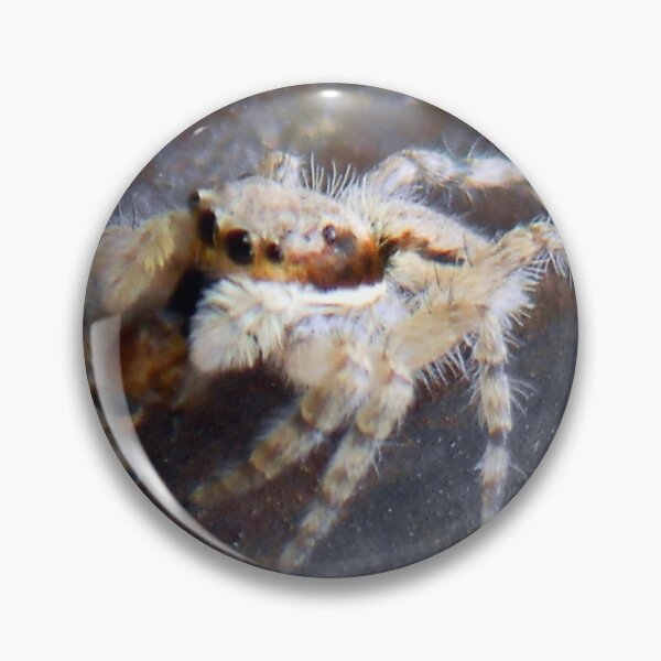 Item preview, ©NS A Spider Life XC. designed and sold by OmarHernandez.