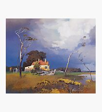 Ash Island Photographic Print