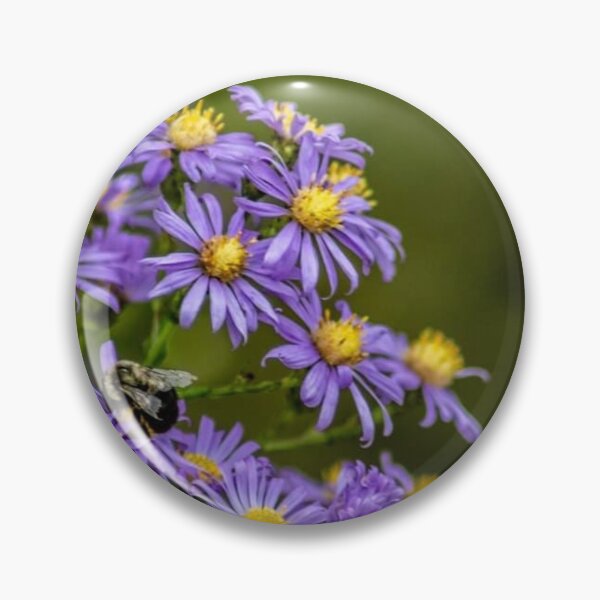 Artikel-Vorschau von Herbstblumen, designt und verkauft von passion4photos.