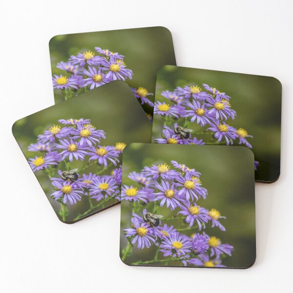 Artikelvorschau, Herbstblumen entworfen und verkauft von passion4photos.