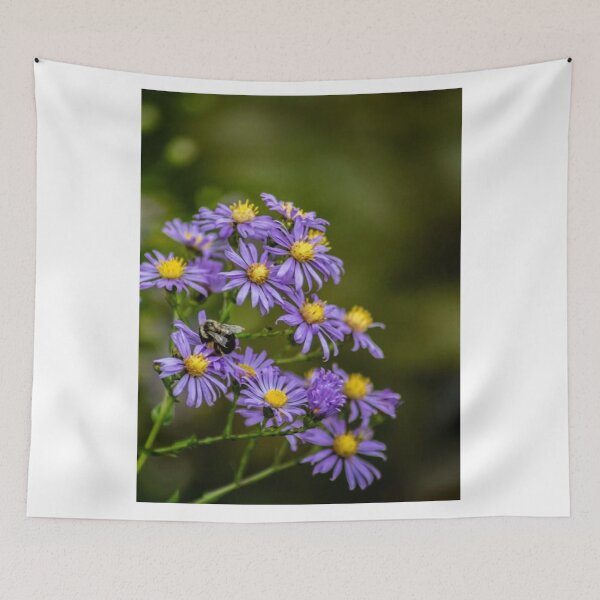 Artikelvorschau, Herbstblumen entworfen und verkauft von passion4photos.