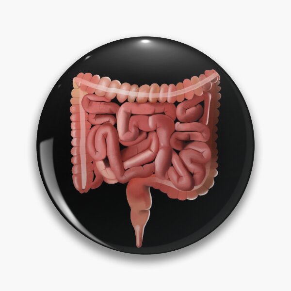 Item preview, Intestines designed and sold by Veronica Pifer.