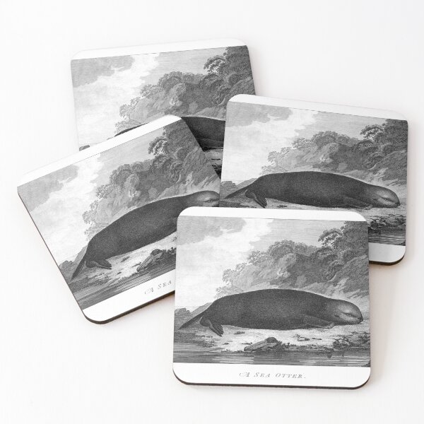 Item preview, 1785 Etching of Sea Otter designed and sold by Gin  Neko.