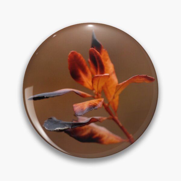 Item preview, Singed Autumn Inkberry Leaves designed and sold by pinebarrens.