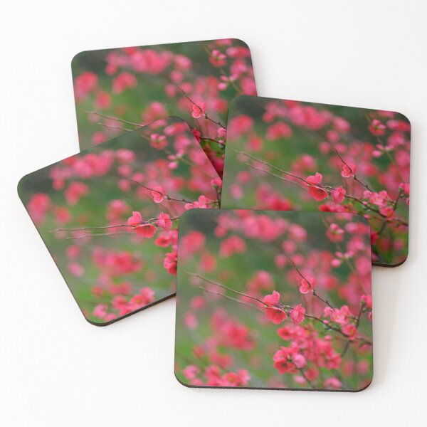 Item preview, Flowering Quince designed and sold by Gabrielle  Lees.