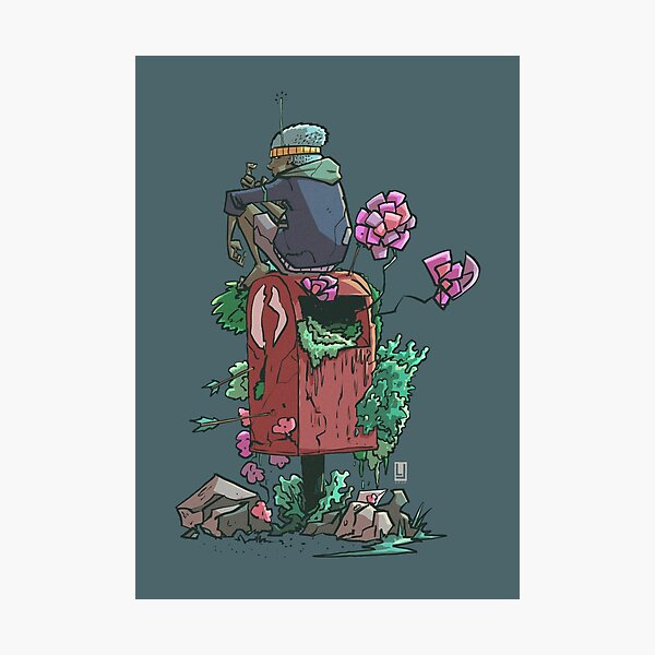 Got Mail Photographic Print