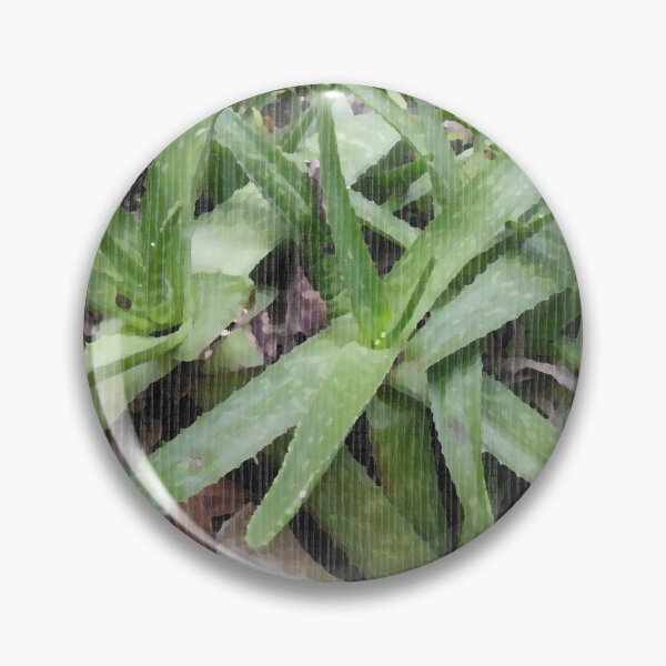 Item preview, Aloe Plant Painting designed and sold by 4Craig.