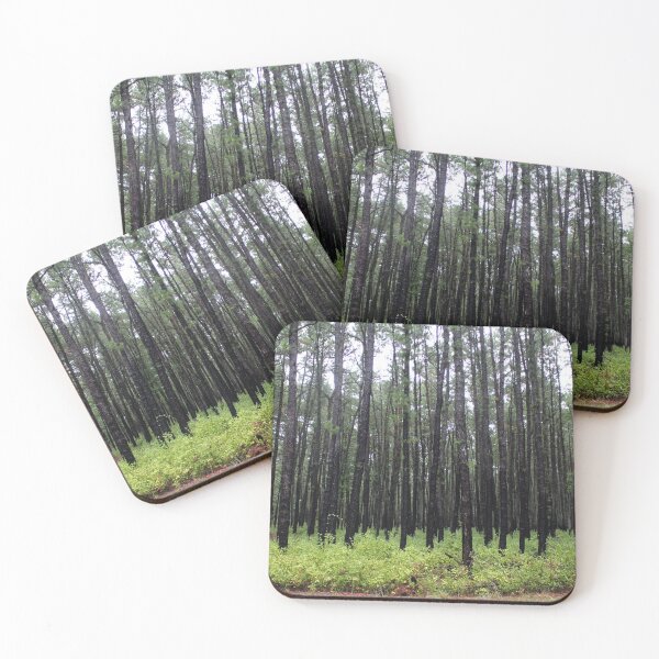 Item preview, Wharton Pine Barrens  designed and sold by pinebarrens.