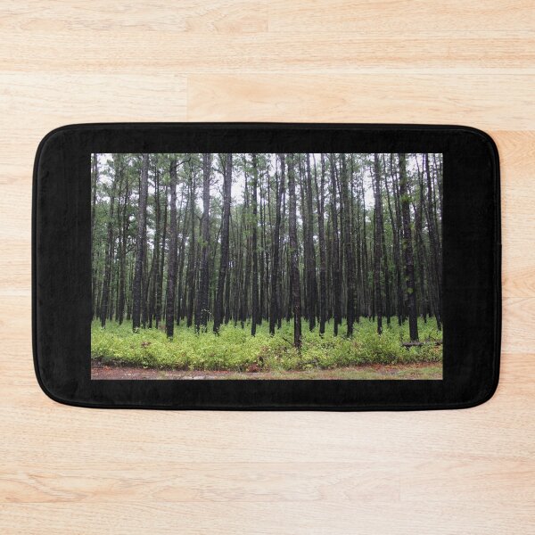 Item preview, Wharton Pine Barrens  designed and sold by pinebarrens.