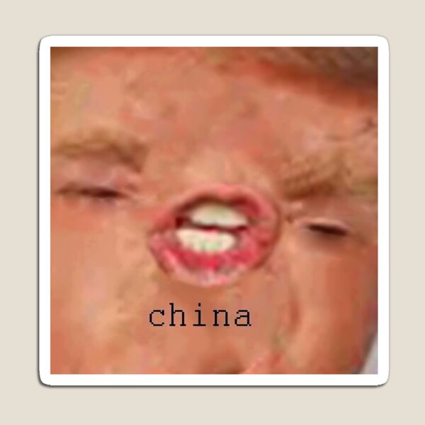 Donald Trump China Magnet