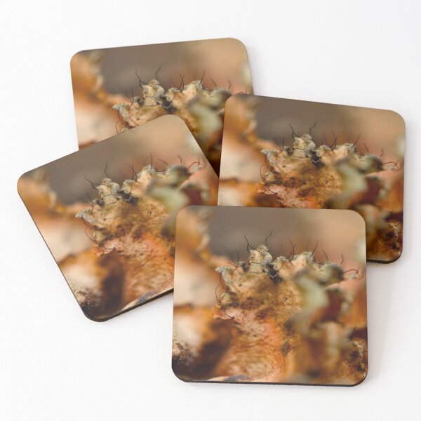 Item preview, Delicate Orange Lichen  designed and sold by pinebarrens.