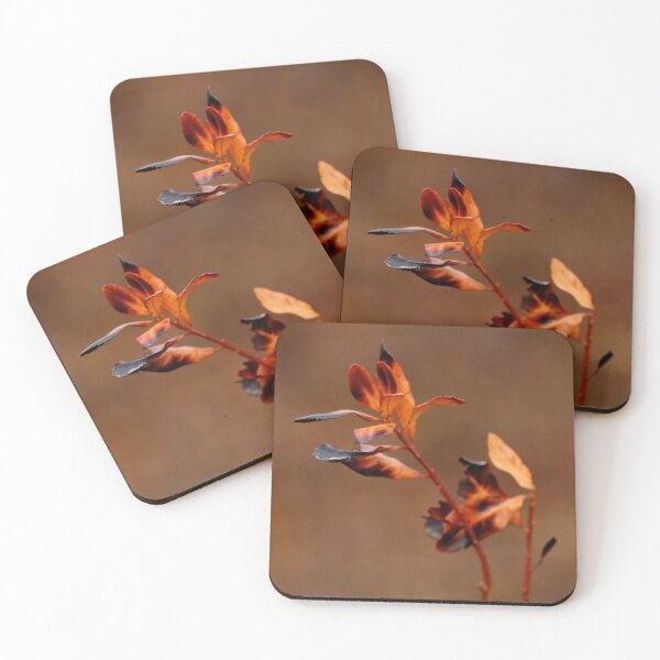 Item preview, Singed Autumn Inkberry Leaves designed and sold by pinebarrens.