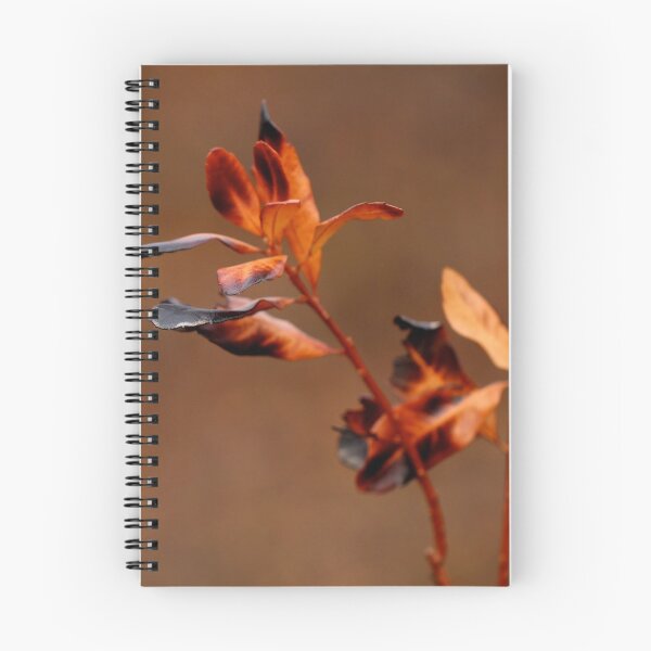 Item preview, Singed Autumn Inkberry Leaves designed and sold by pinebarrens.
