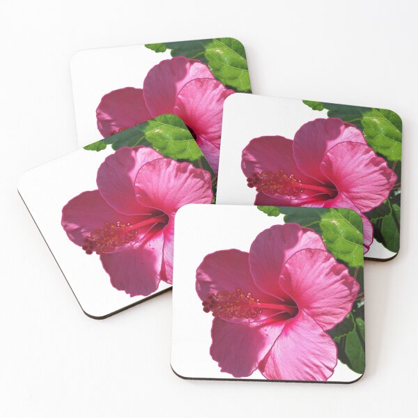 Item preview, Hibiscus designed and sold by Robyn Scully.