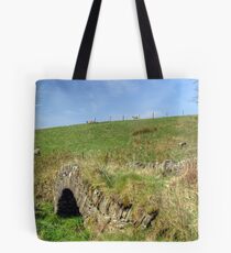 Past To Present Tote Bag