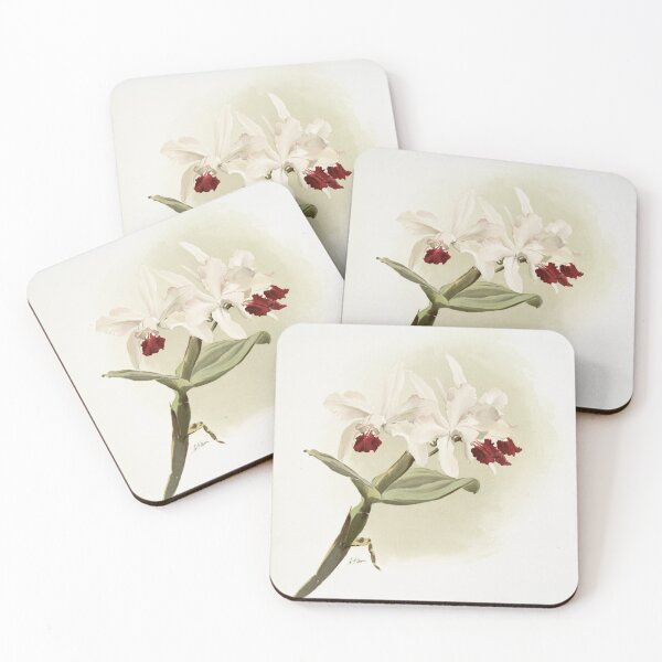 Item preview, Reichenbachia: Orchids Illustrated and Described designed and sold by EsotericBotanic.