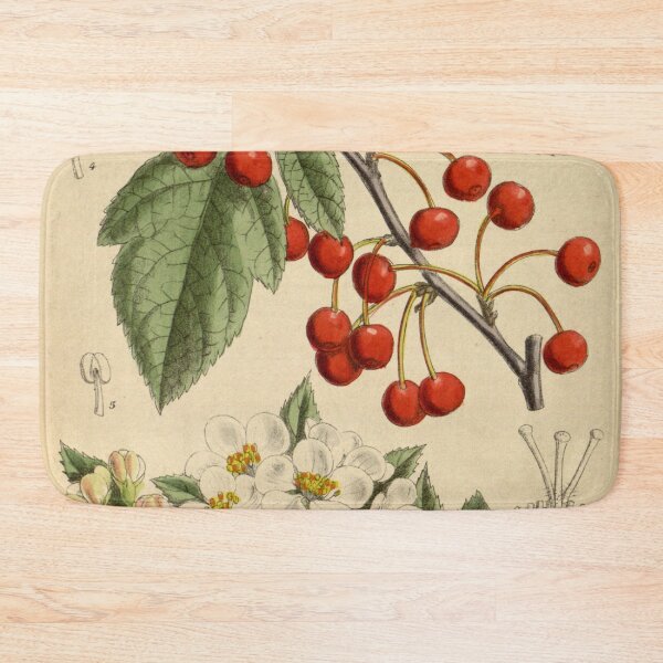 Item preview, Malus sargentii 144 8757 designed and sold by EsotericBotanic.