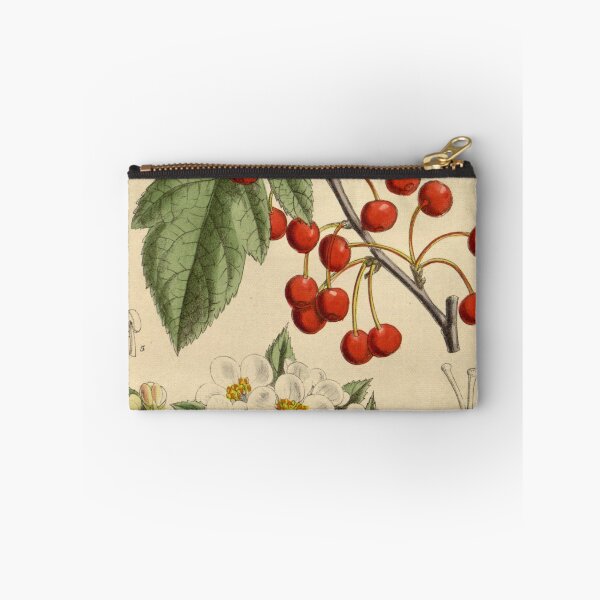 Item preview, Malus sargentii 144 8757 designed and sold by EsotericBotanic.
