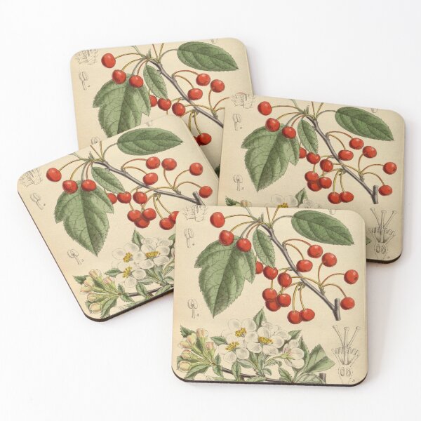 Item preview, Malus sargentii 144 8757 designed and sold by EsotericBotanic.