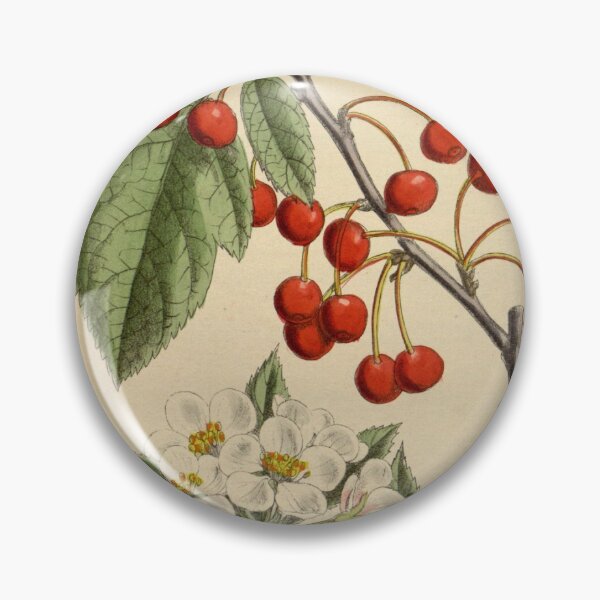 Item preview, Malus sargentii 144 8757 designed and sold by EsotericBotanic.