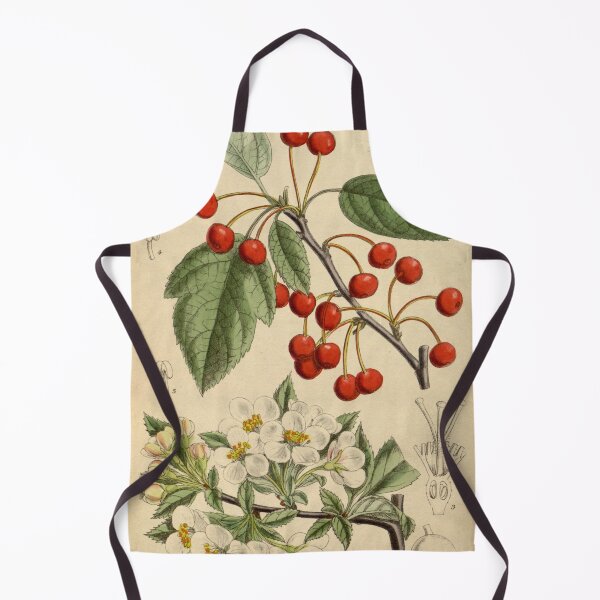Item preview, Malus sargentii 144 8757 designed and sold by EsotericBotanic.