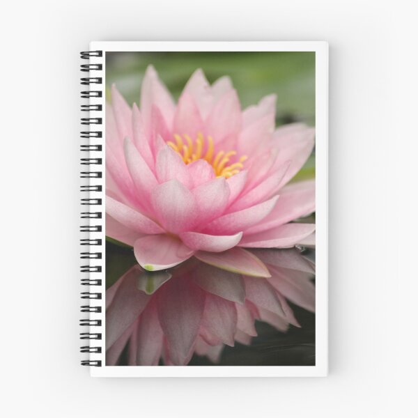 Item preview, Pink lily designed and sold by Sandi Walmsley.