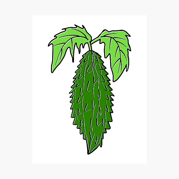 Bitter Gourd Sketchy Colored Vector Icon Stock Illustration - Download  Image Now - 2015, Bitter Gourd, Food - iStock
