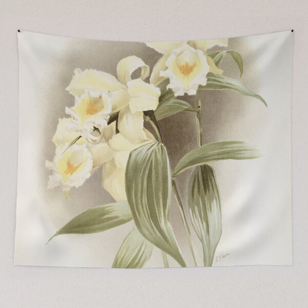 Item preview, Reichenbachia: Orchids Illustrated and Described designed and sold by EsotericBotanic.
