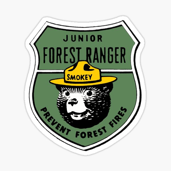Smokey the Bear US Forest Service USFS Smokey's Fire Patrol Gold Ranger Badge 