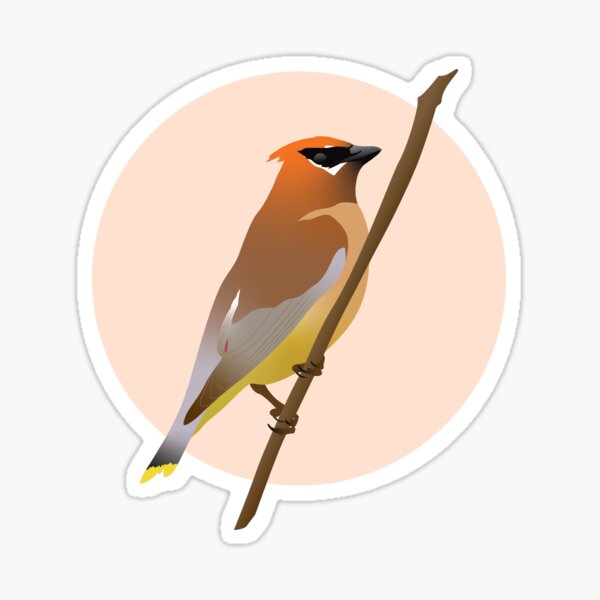 Item preview, Cedar Waxwing designed and sold by Karri Denise.