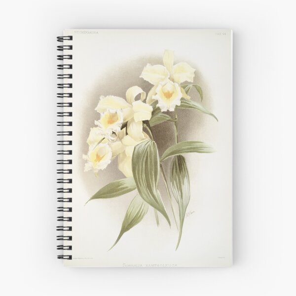 Item preview, Reichenbachia: Orchids Illustrated and Described designed and sold by EsotericBotanic.