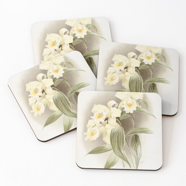 Item preview, Reichenbachia: Orchids Illustrated and Described designed and sold by EsotericBotanic.