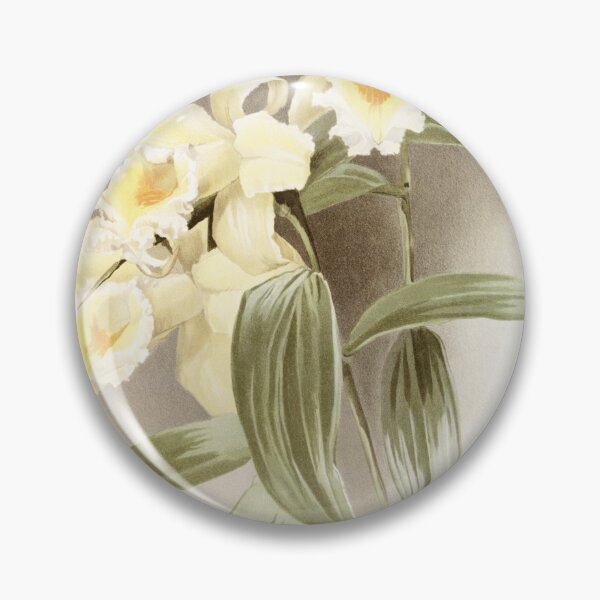 Item preview, Reichenbachia: Orchids Illustrated and Described designed and sold by EsotericBotanic.