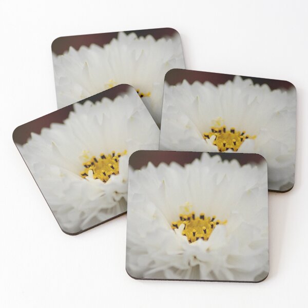 Item preview, White cosmo designed and sold by Sandi Walmsley.