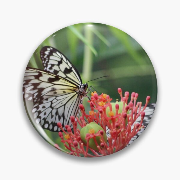 Item preview, Butterflies  designed and sold by Sandi Walmsley.