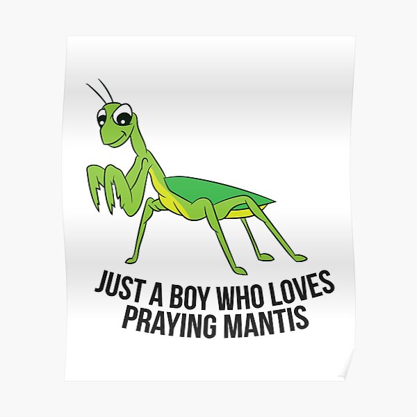 Just a Boy Who Loves Praying Mantis Funny Praying Mantis Poster