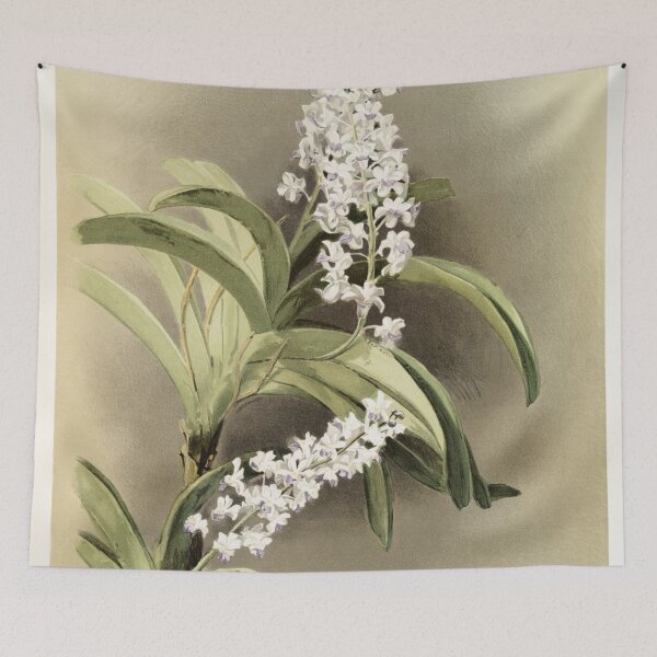 Item preview, Reichenbachia: Orchids Illustrated and Described designed and sold by EsotericBotanic.