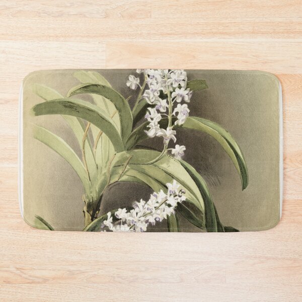 Item preview, Reichenbachia: Orchids Illustrated and Described designed and sold by EsotericBotanic.