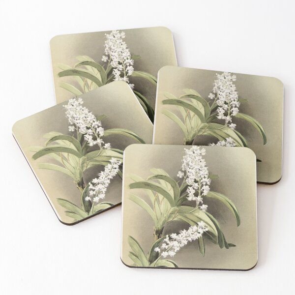 Item preview, Reichenbachia: Orchids Illustrated and Described designed and sold by EsotericBotanic.