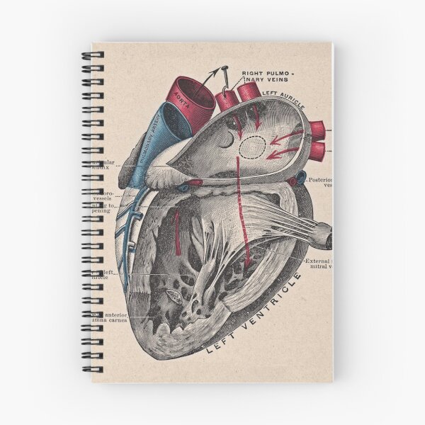 Item preview, Heart chart designed and sold by Esculor.