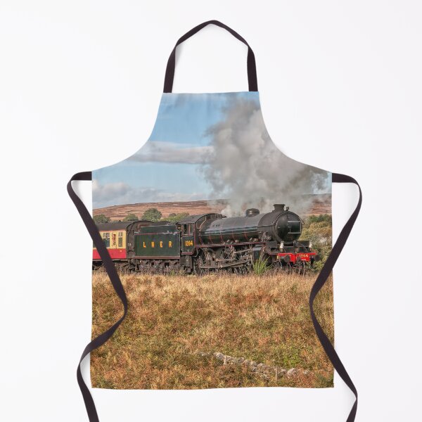 Item preview, LNER Thompson Class B1 Number 1264 Steam Locomotive designed and sold by Steve H Clark.